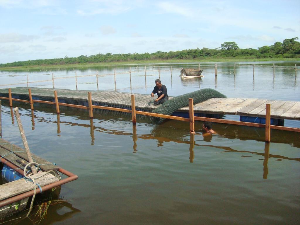 piscicultura nuevo horizonte