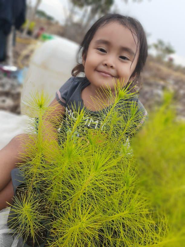 Plantas Nuevo Horizonte